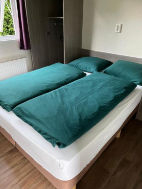 Chalet de Elina